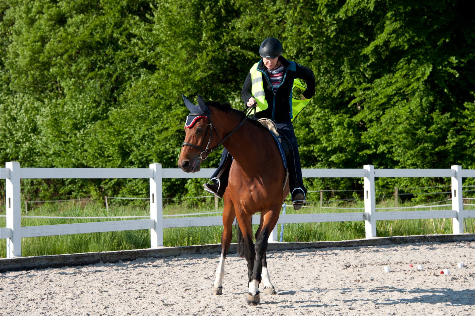 DSC_8159 (Large).jpg